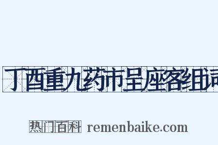 丁酉重九药市呈座客组词是什么意思的图片